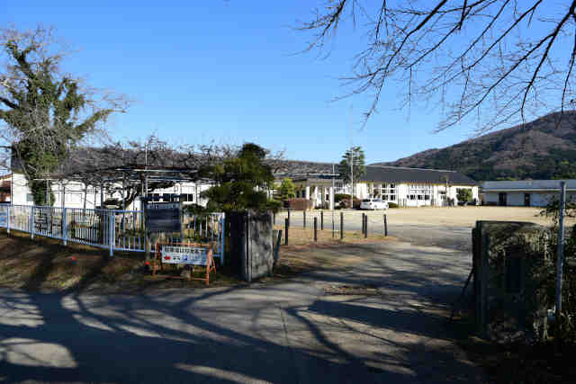 �������R�w�Z