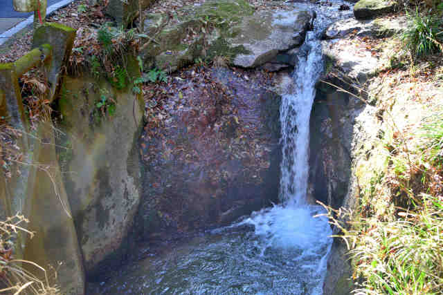 �܂����蕣