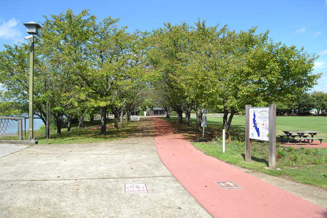 砂沼広域公園遊歩道