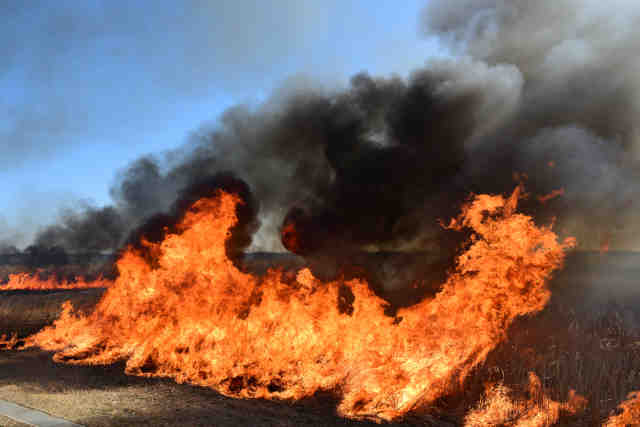 ����m�@�̃��V�Ă�