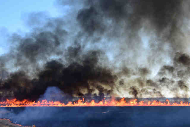 ����m�@�̃��V�Ă�