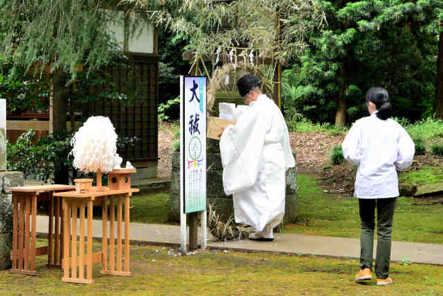 夏越大祓輪くぐり