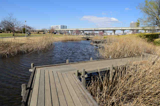 �����w���w�O�����r