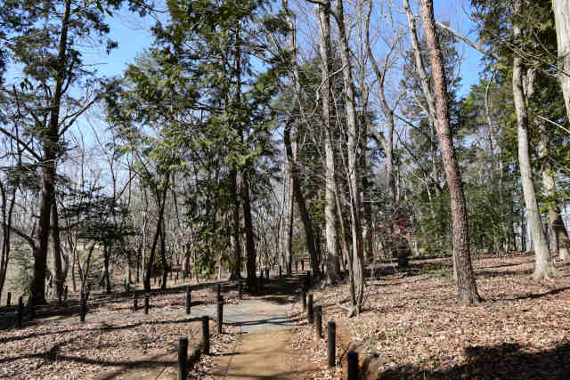 �����w���w�O�����U���H