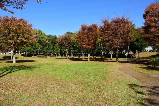 竹園公園芝生広場