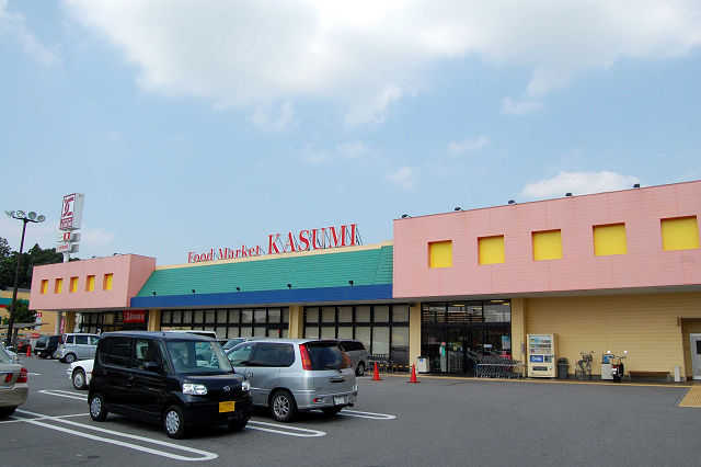 カスミテクノパーク桜店
