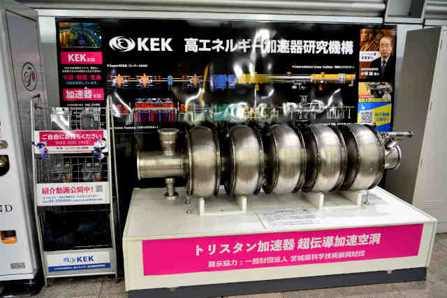 ���Ήw���G�l��