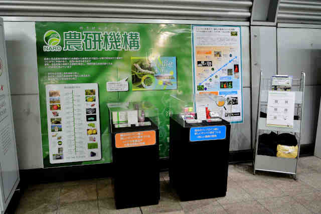 ���Ήw�_���@�\