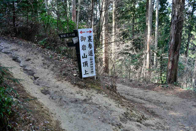 㓹Q