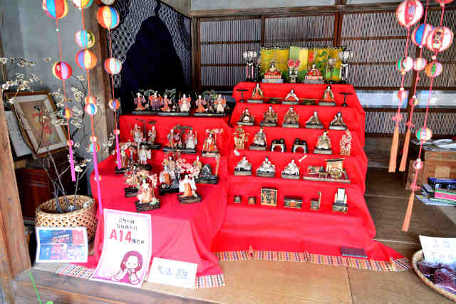 ���{�č�������2026