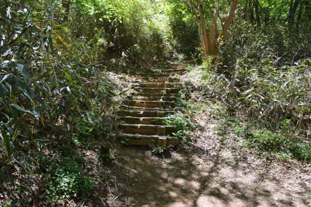 階段の登山道